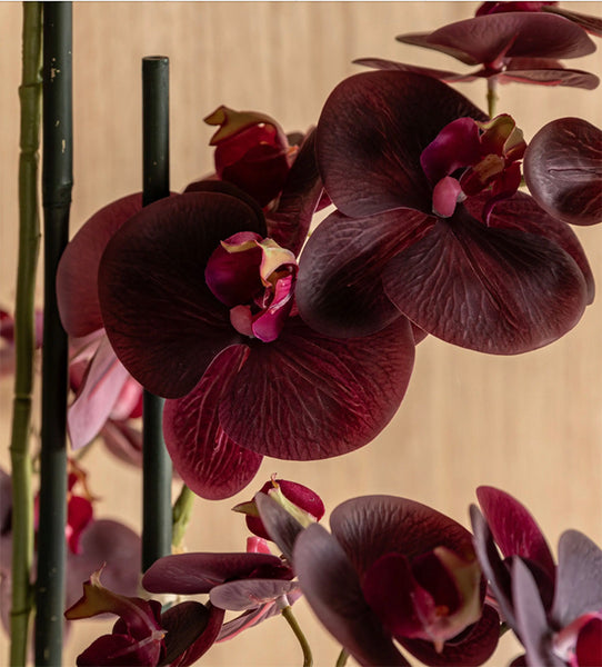 Burgundy Real Touch Artificial Orchid in Pot