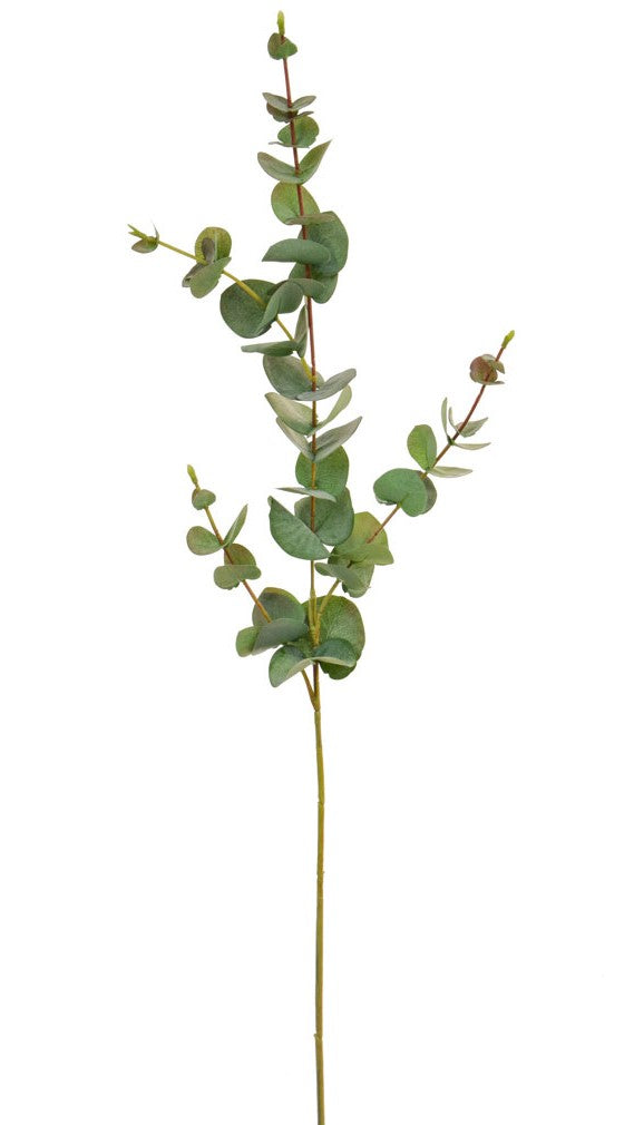 Realistic Artificial Greenery Eucalyptus Stems