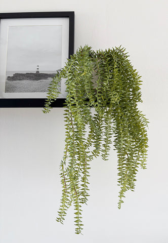 miracle gro indoor planter Miracle-Gro - Indoor Plant Food Spikes