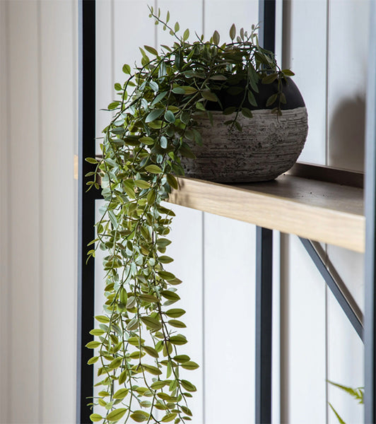 Realistic Artificial Trailing Plants