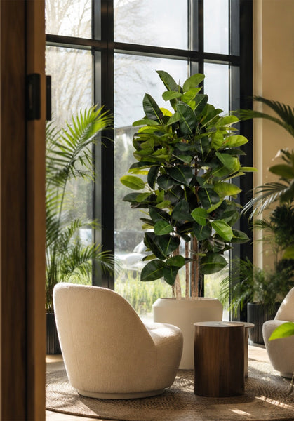 Rubber Plant - Large Artificial Plants