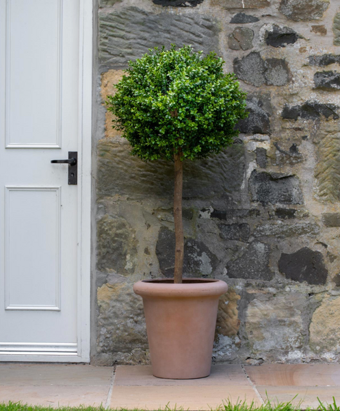 Set of 2 Artificial Topiary Trees in Terracotta Style Planters