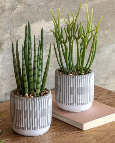 Set of 2 Small Succulent Artificial Plants