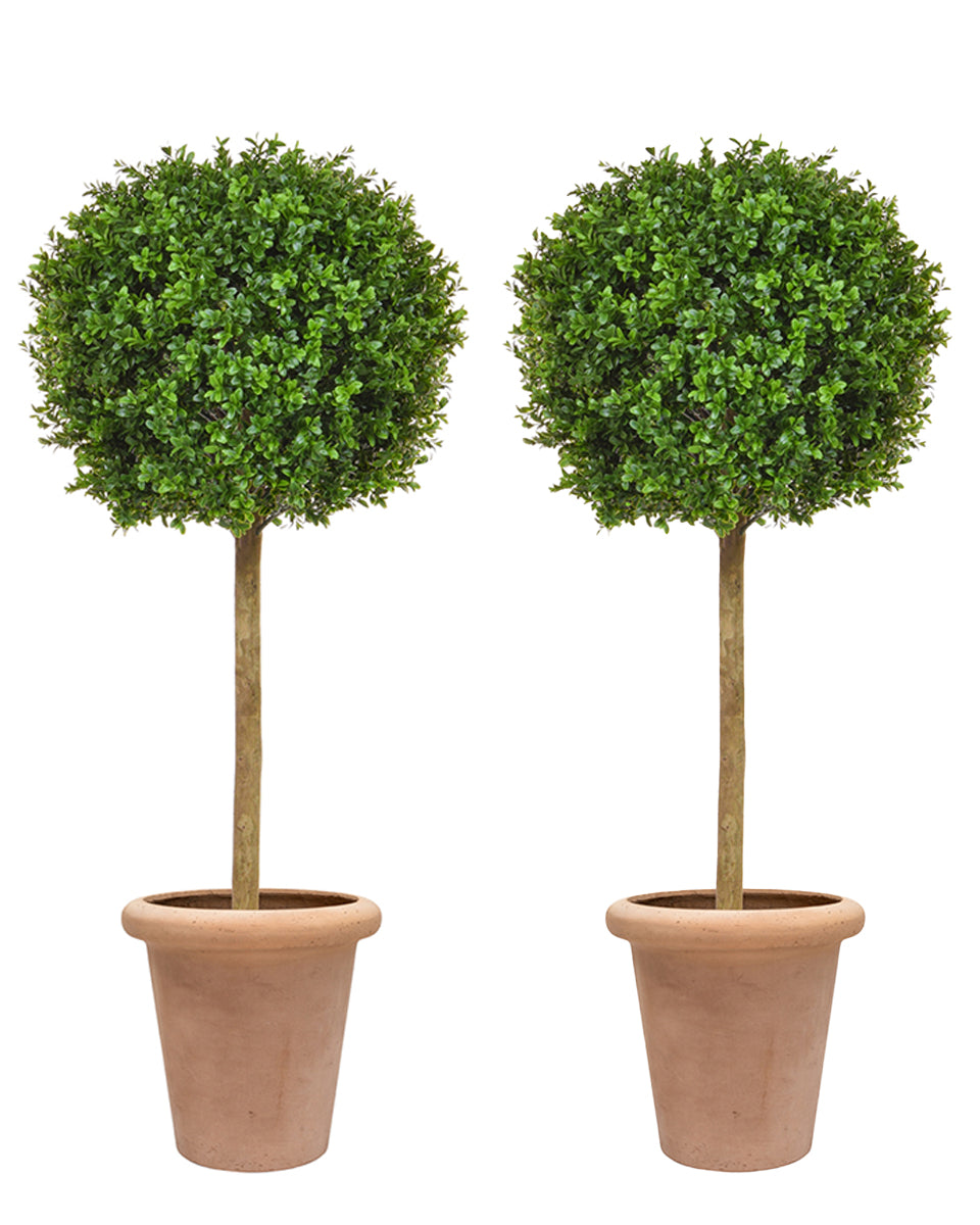 Set of 2 Artificial Topiary Trees in Terracotta Style Planters