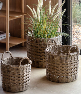 Setof 3  Willow Basket Planters