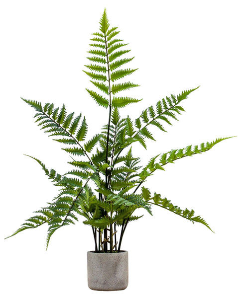 Artificial Forest Fern Plant in Natural Pot 71cm
