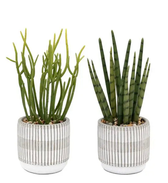 Small Artificial Plants - Succulents Set of 2