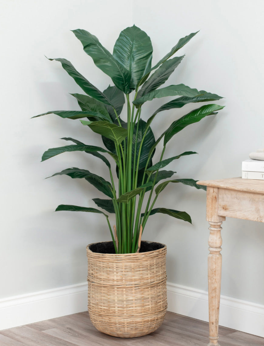 Spathiphyllum Artificial Plant 120cm Fire Retardant