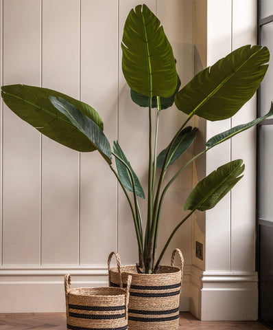 Strelitzia Artificial Plant 120cm