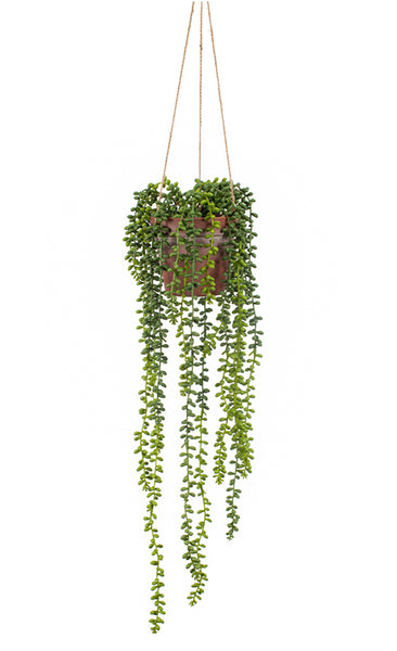 Faux Senecio String Of Pearls Hanging Plant