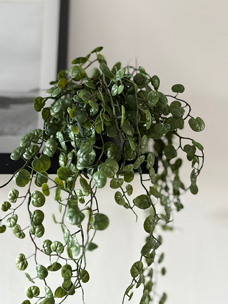 String of hearts artificial house plant