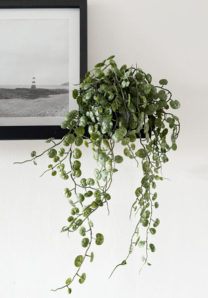 String of Hearts Artificial Trailing Plant. Artificial house plant.