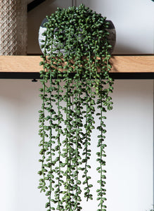 Hanging artificial senecio string of pearls plant
