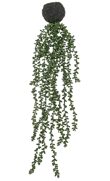 Faux String of pearls plant
