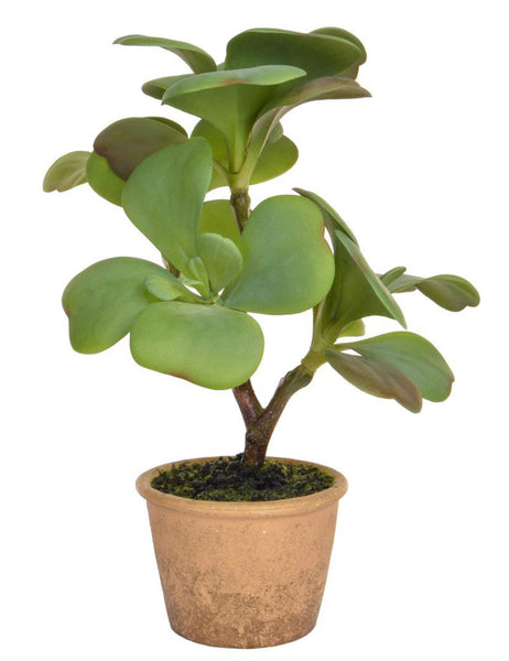 Succulent Artificial Plant In Clay Pot 35cm