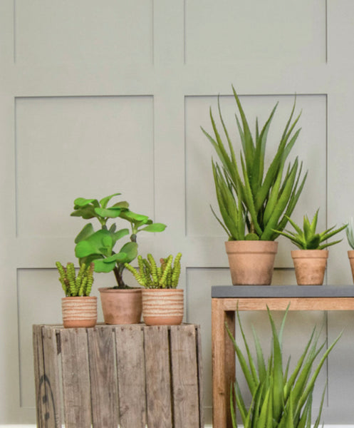 Succulent Artificial Plants