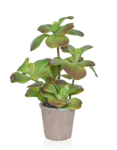 Artificial Succulent in Neutral pot 