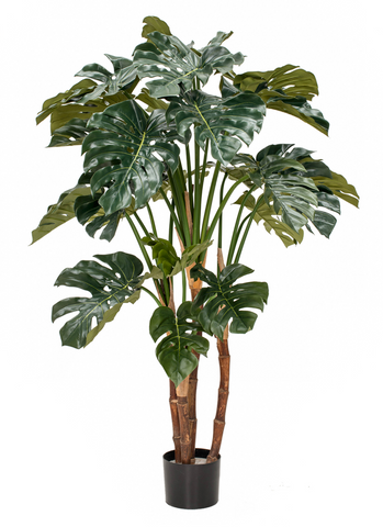Fire retardant artificial Monstera Plant. Flame retardant plant for restaurants and office interiors.