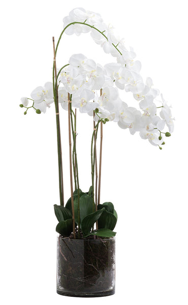 Tall Artificial Orchid in Glass Pot