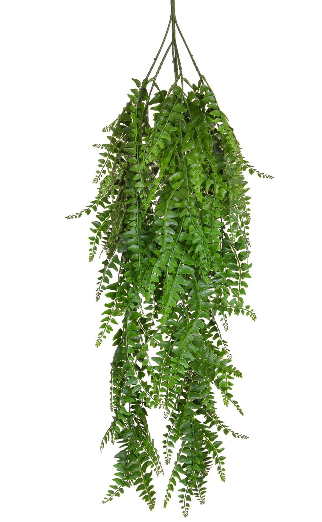 Fire retardant and UV resistant trailing fern plant for bars and restaurants
