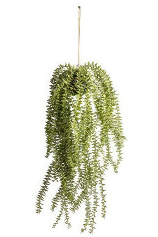 Faux hanging horsetail succulent plant