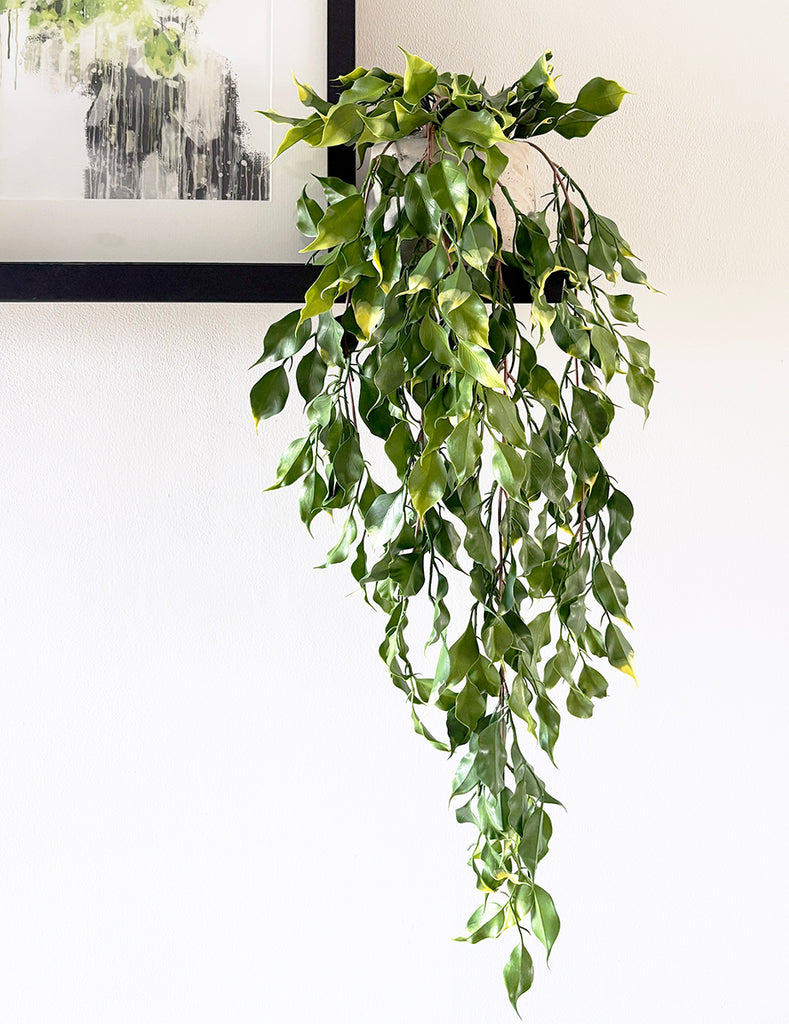 artificial trailing plants indoor Ficus Leaf Artificial trailing Plant Fire Retardant – Artificial Green