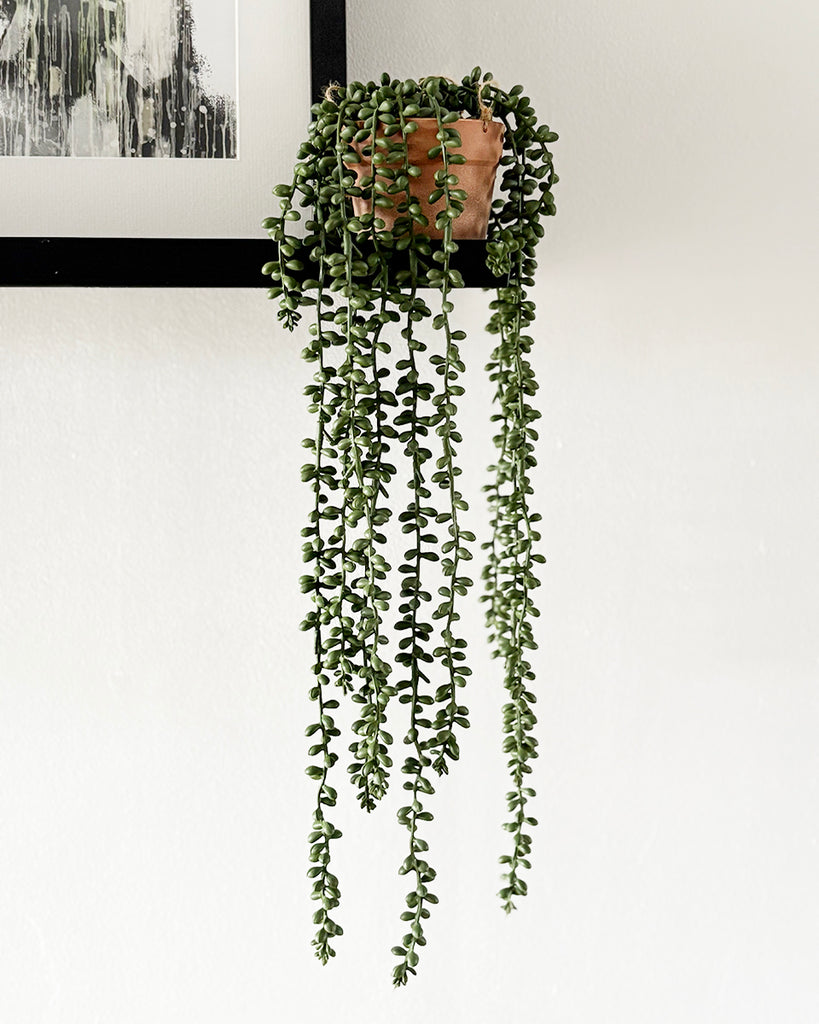 faux hanging pearl plant Faux Senecio String Of Pearls Plant in Pot