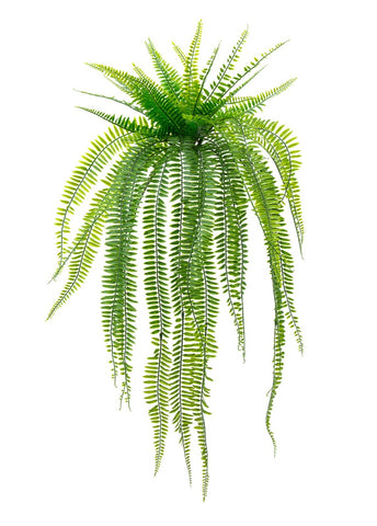 UV outdoor Boston Fern artificial plant with trailing leaves