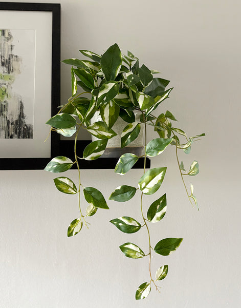 Variegated Pothos Artificial Trailing Plant