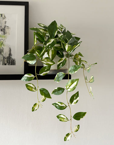 Variegated Pothos Artificial Trailing Plant