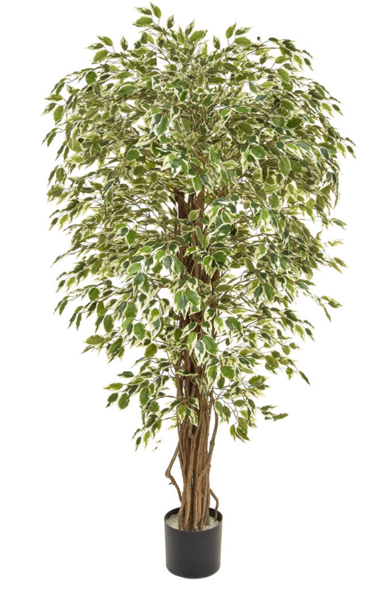 High Quality Variegated artificial ficus tree 150cm