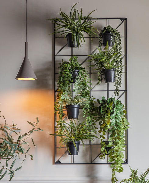 Vertical black wall planter with 8 plant pots to create a green wall. Garden Wall planter