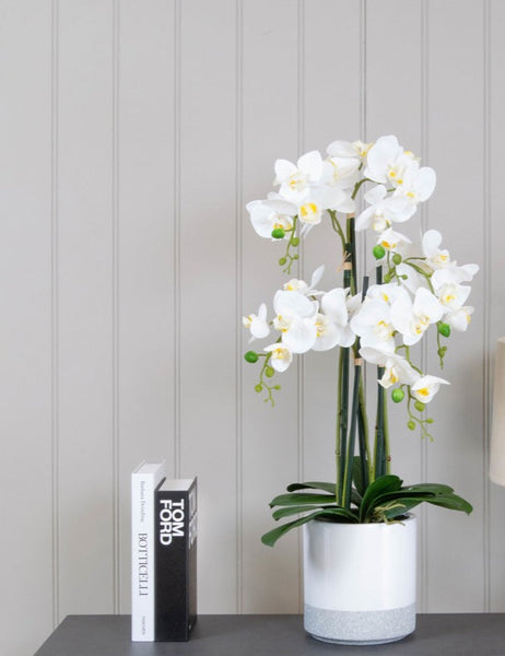 Real touch artificial white orchid in modern white pot 