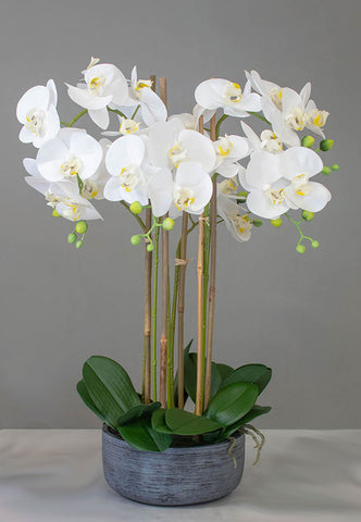 Artificial White Real Touch Orchid in modern dark grey bowl pot