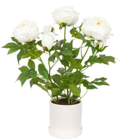Artificial Luxury Faux Potted White Peony Plant , perfect for contry cottage interiors