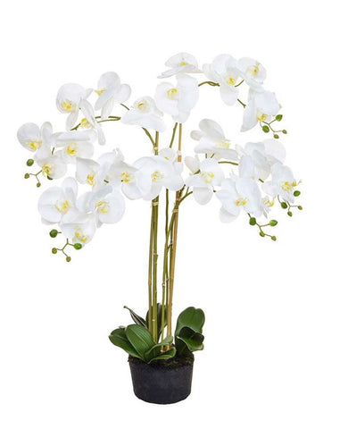 Real touch faux white orchid by Artificial Green