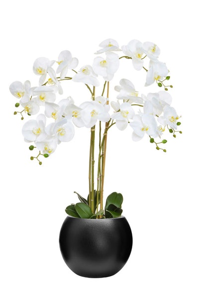Large White Artificial Orchid in Black Round Pot