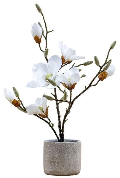 White Mini Artificial Magnolia Tree 60cm in Pot