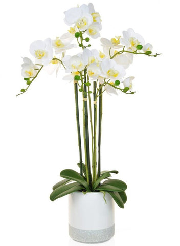 Artificial real touch white orchid plant in modern white pot