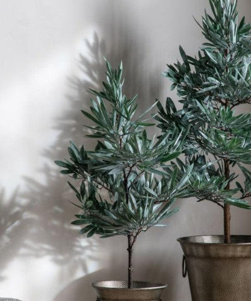 Winter Eucalyptus Tree 120cm