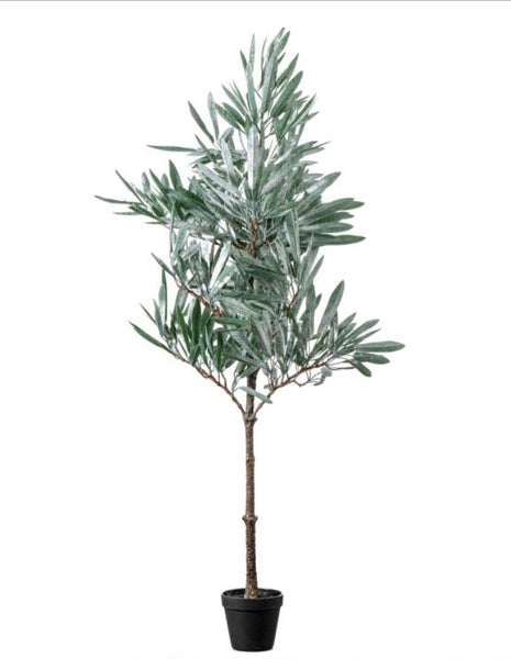 Winter Eucalyptus Tree 63cm