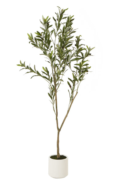Wispy Faux Olive Tree