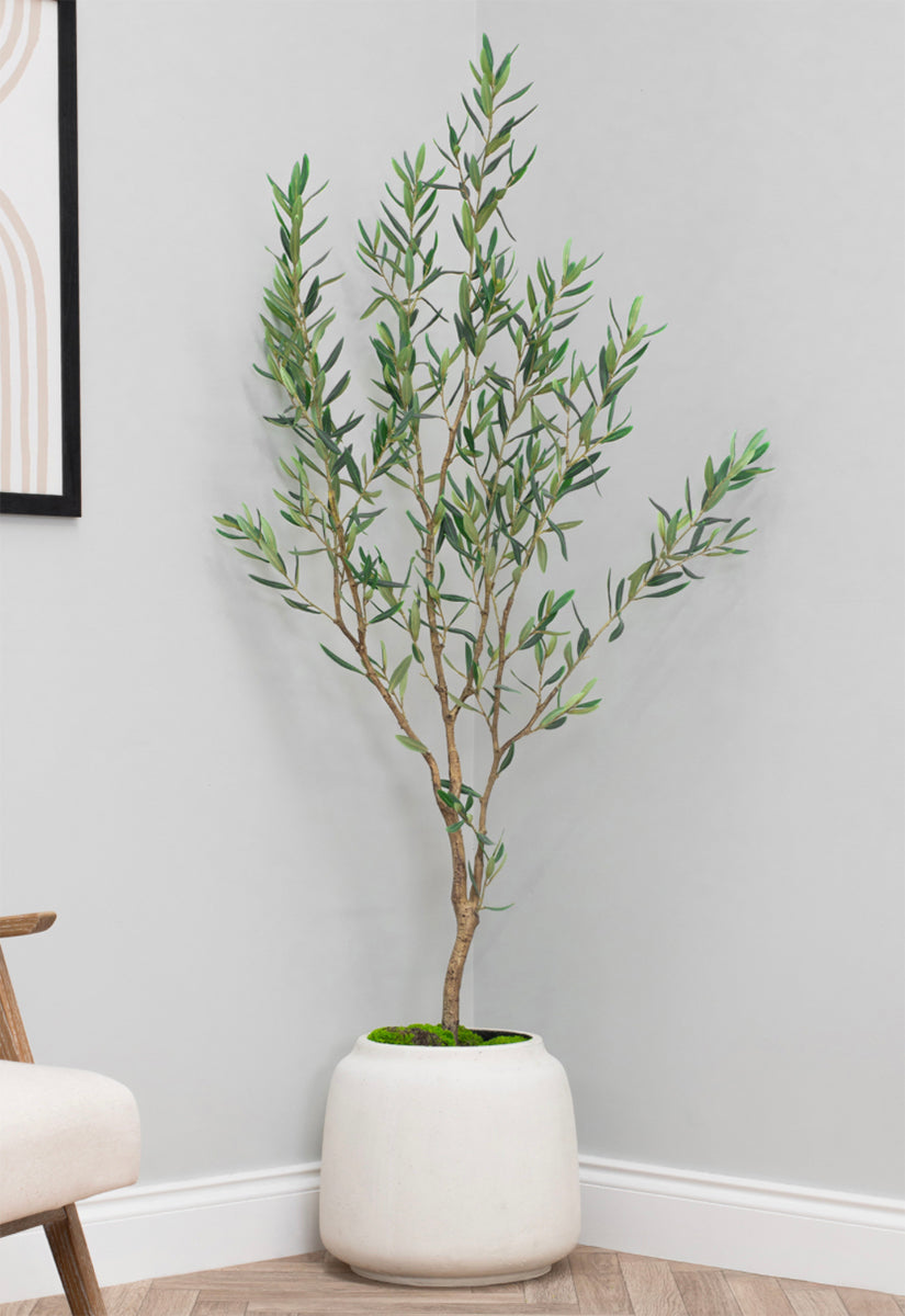 Artificial Young Olive Tree 167cm