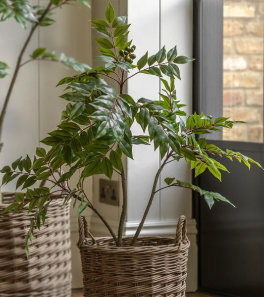 Artificial Trees - Small Chinese Olive Tree 90cm