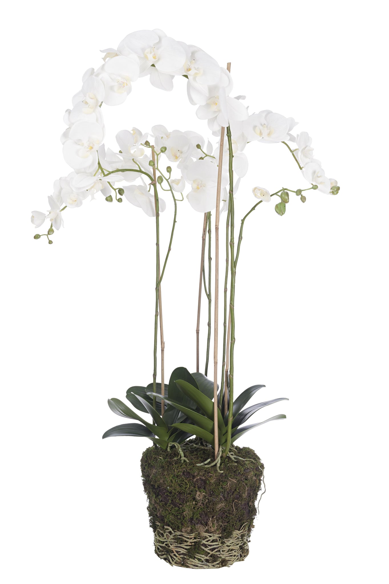 Luxury faux white orchid plant on faux soil base