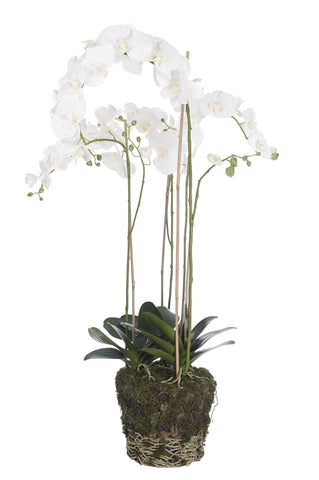 Luxury faux white orchid plant on faux soil base