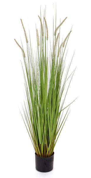 Artificial Dogtail Reed Grass plant in pot 120cm tall Fire Retardant