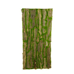 Artificial Bark & Moss Mat 50 x 100cm - Artificial Green