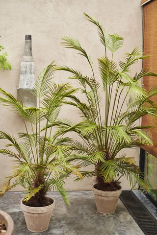 Luxury Potted Palm 230cm - Artificial Green