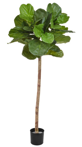 Faux fiddle leaf fig tree ficus lyrata topiary